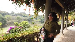                            دندنها