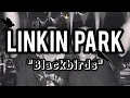 Download Lagu Linkin Park - Blackbirds 𓄿\