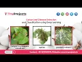 Cotton Leaf Disease Detection and Classification using Deep Learning