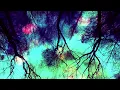 Richard Hawley - Standing at the Sky's Edge (Static)
