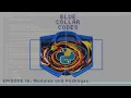 BCC16 - Beginner Python Tutorial
