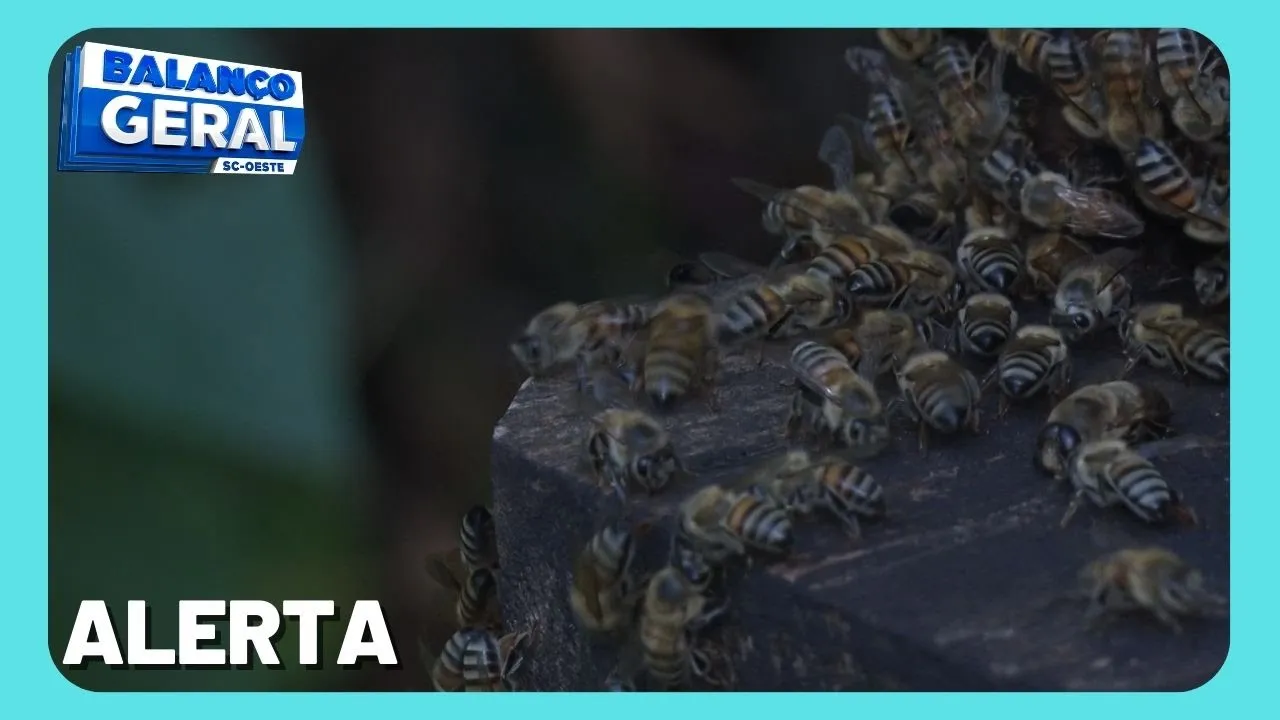 Cidasc alerta apicultores sobre ameaça do besouro das colmeias