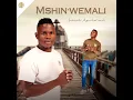 Download Lagu Mshinwemali Ft Zothando - Ngicela Uhambe