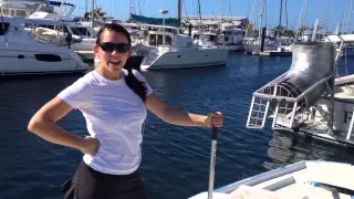 Atticus Update: Desiree’s Back in Town