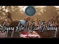 Download Lagu Goyang Aster Vs CicakCicak Di Dinding ¦¦¦ Lagu Kadayo 2018