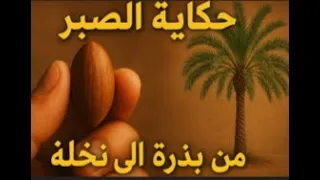 قصة صبر ستلهمك من بذرة ضعيفة إلى نخلة شامخة 