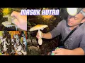 Download Lagu Hujan ❓Rezeki Tetap Ada 💞