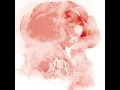Cherry Blossom Girl (Radio Mix)