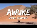 Davido, YG Marley - Awuke (Lyrics)