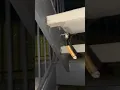 Spider Smokes The Blunt