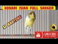 Lagu Kenari F2YS Isian Full Sanger, Guru Vokal Gacor #SiBanteng - (SOLD OUT)