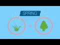 Premier Allergy - Seasonal Allergies