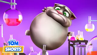 Talking Tom Shorts – Ultra Marathon (All Episodes)