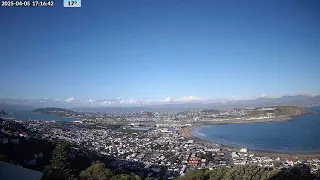 Lyall Bay, Wellington, New Zealand - Live Stream