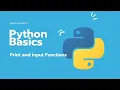 Python Basics - Print Input Functions and Variables