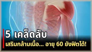 ลูซีนคืออะไร และทำไมจึงสำคัญต่อการสร้างกล้ามเนื้อในผู้สูงวัย?