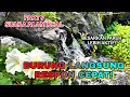 Lagu Semua jenis burung cepat buka paruh, Terapi air \u0026 burung, Suara hutan alam bebas Part 7