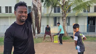 Cricket കളിക്കാൻ പോയാലും മീനാണ്. ..