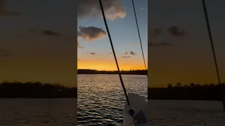 Bahama Sunrise 🌄