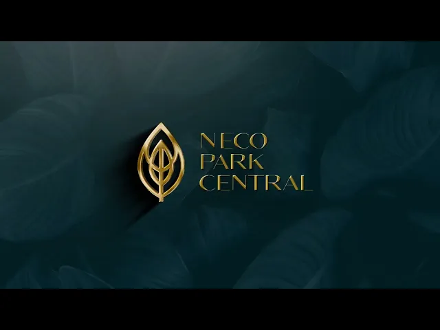 Project Video