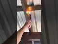Burning Spider Egg Sac - Pest Control