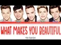 Download Lagu One Direction - What Makes You Beautiful Lyrics (Color Coded Lyrics)