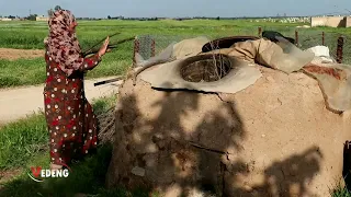 حيفا عمري مني جوان لي لي جواني أجمل أغنية كردية مع أجمل المشاهد Heyfa Vî Emrê Ciwan 