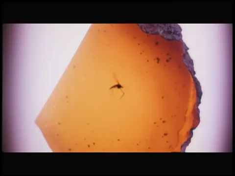 Official Theatrical Teaser Trailer