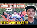 Download Lagu KABAYAN MALING NANGKA - Candanya bikin kita AMBYAAAAR | maraFM