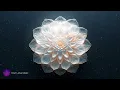 741 Hz Remove Toxins & Negativity | Aura Cleanse & Spiritual Detox Frequency Music