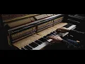 Piotr Wiese - Almost