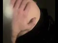 Feedee Force Fed and Teased Fat Bellyplay