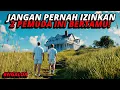 Lagu SALAH SATU FILM PALING DISTURBING SEPANJANG MASA❗