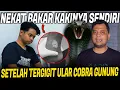 Lagu DIGIGIT ULAR KOBRA SAAT MENDAKI GUNUNG!! PEMUDA INI SELAMAT KARENA PAKE CARA INI