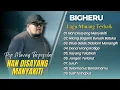 Download Lagu BIGHERU - NAN DISAYANG MANYAKITI | HILANG BAGANTI BURUAK BATUKA || LAGU MINANG TERPOPULER 2025