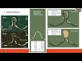 pyRiverBed A Python framework to generate riverbed topography for constant-width meandering rivers
