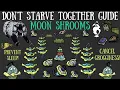 The Hidden Properties Of Moon Shrooms - Forgotten Knowledge Don t Starve Together Guide