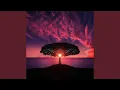 Download Lagu Tropical Paradise Vlog