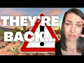 Zillow Is At It Again Phoenix Real Estate Market