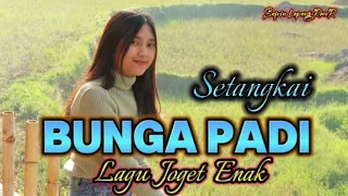 Download Lagu Joget Enak Pesta Panen Setangkai Bunga Padi || Safrin Lapang Rmxr 🔥 MP3