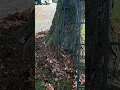 Big Game tree stand Guardian XLT review due not buy