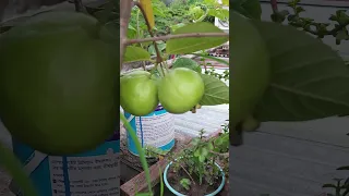 Shahinreza Youtube Facebook Linkedin Https Www Facebook Com Share 16aasbXHhN 