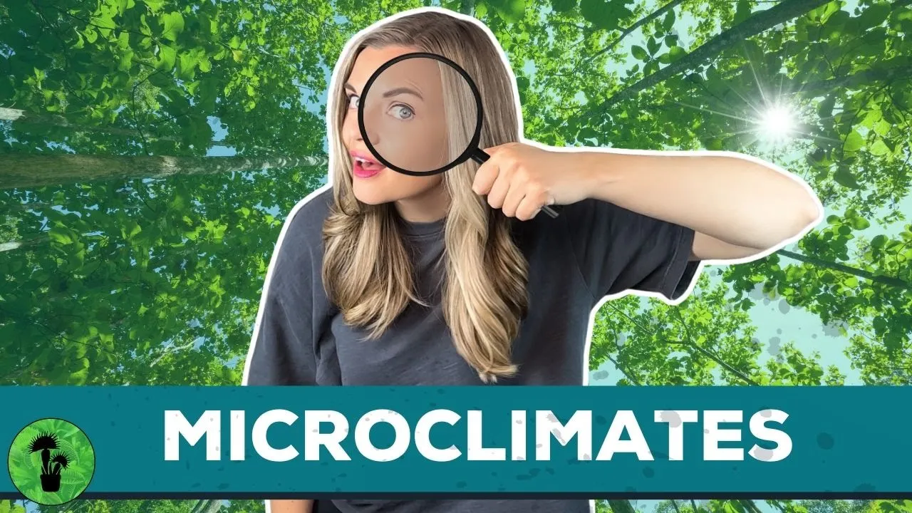 Microclimates | Contributing Factors & Examples