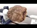 Who Wants To See What s Inside This Giant Tree Wart - Woodturning Woodworking