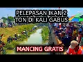 Download Lagu PELEPASAN IKAN 2 TON DI KALI GABUS II MANCING GRATIS DI BEKASI YANG AKAN DI HADIRI KANG DEDI MULYADI