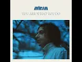 You Are What You Do - Aviram