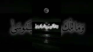 وما تلك بيمينك يا موسي الشيخ شعبان الصياد وما تلك بيمينك يا موسى Fyp 