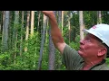 Measuring tree height with a clinometer