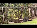 Kolegend 22 Channel RC Excavator Metal Shovel
