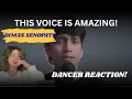 Lagu DANCER REACTS DIMAS SENOPATI - ''WHEN LOVE \u0026 HATE COLLIDE'' COVER + DANCE